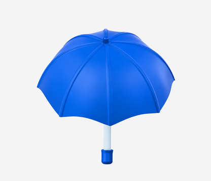 21 Inch (53.34cm) 2 Fold Auto-Open Umbrella