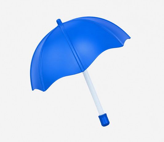 21 Inch (53.34cm) 2 Fold Auto-Open Umbrella